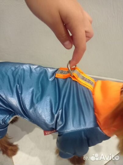 Одежда для маленькой собаки