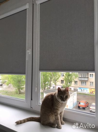 Рулонные жалюзи Блэкаут