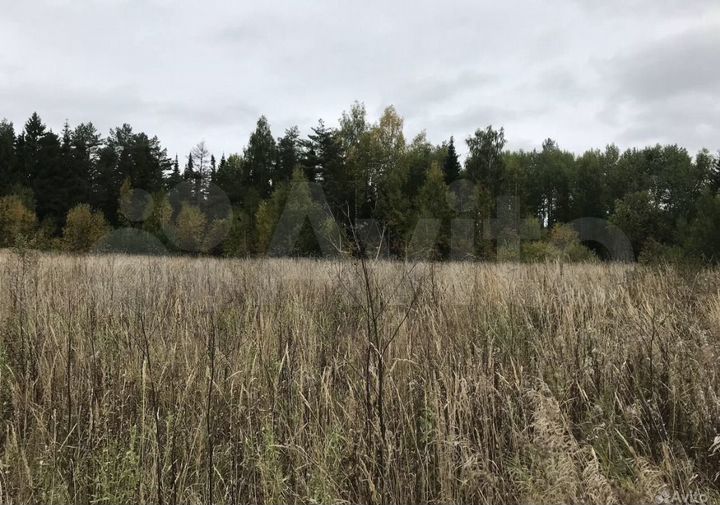 Дом 100 м² на участке 30,5 сот.