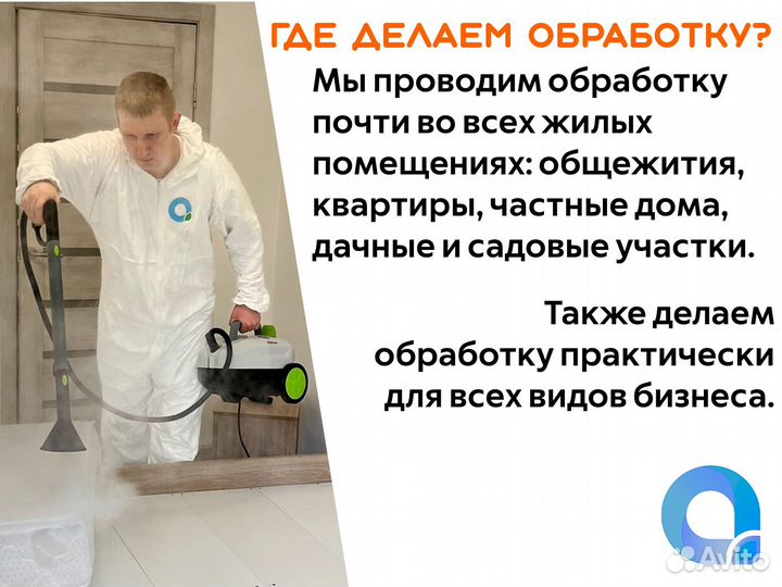 Уничтожение тараканов клопов клещей дезинсекция