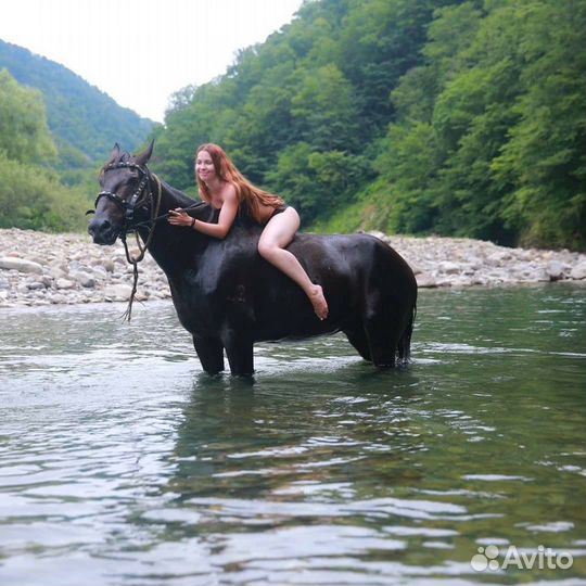 Конные прогулки в п. Лазаревское