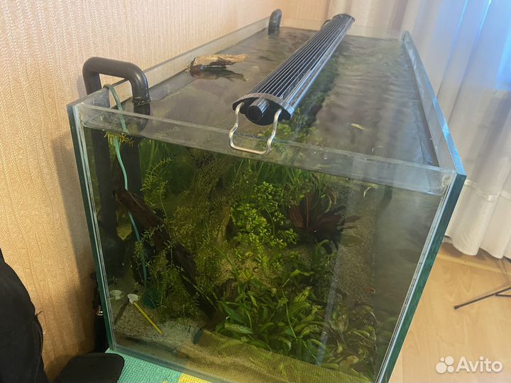 Аквариум 100л