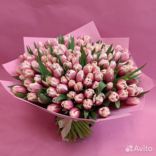 Букет из розовых сортовых тюльпанов 41 шт