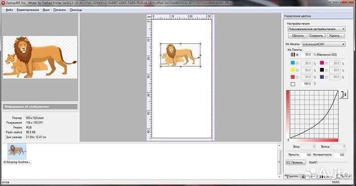 Программа Acrorip 9 с русским языком
