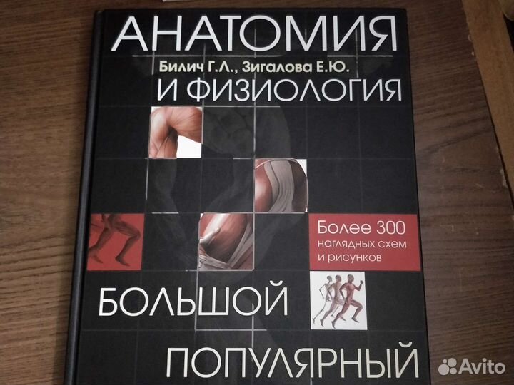 Билич. Большой атлас по анатомии и физиологии