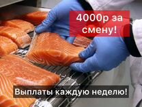 Подработка упаковщик без опыта