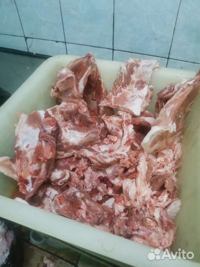 Мясо и кости для собак