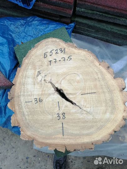 Спилы дерева Карагач