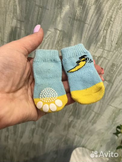 Комбинезон для маленькой собачки