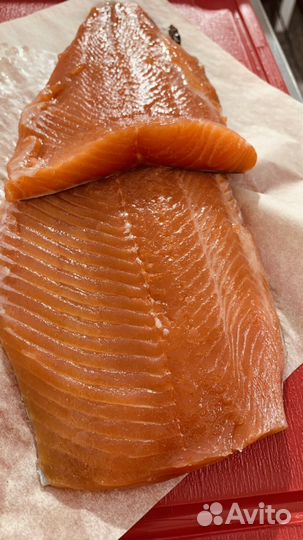 Форель слабой соли