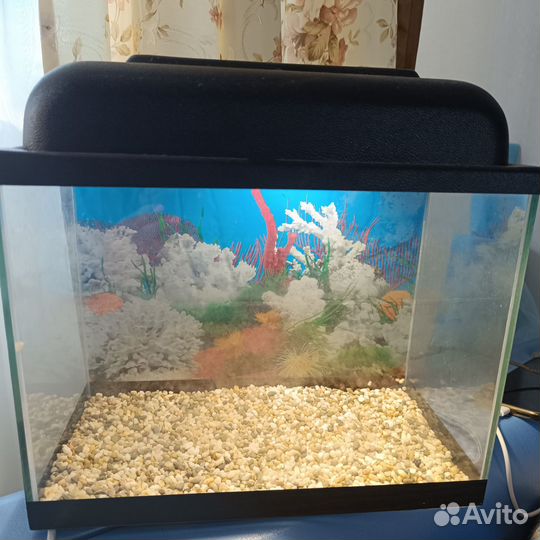 Аквариум с фильтром и светом