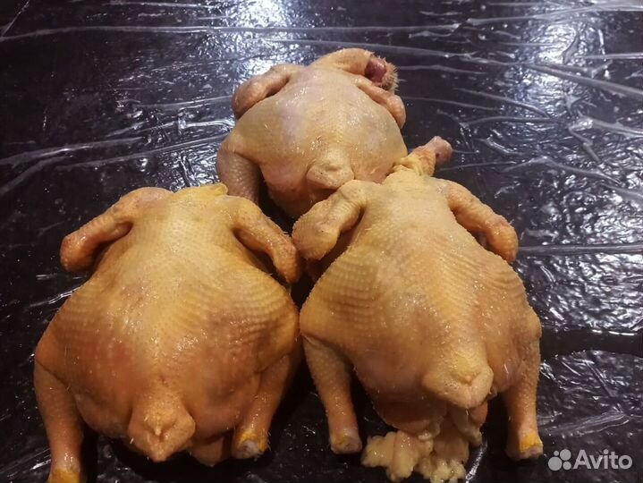 Куры халяльКуры халяль свежие