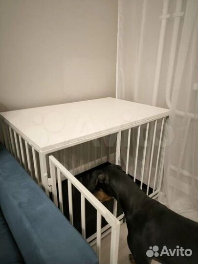 Клетка для собак антивандальная в белом цвете