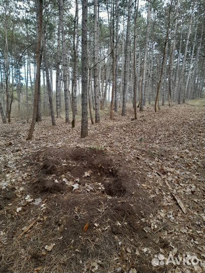 Кора сосны мульча, грунт для хвойных