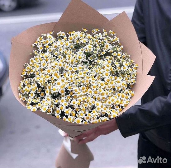 Ромашки Пионы Розы Доставка