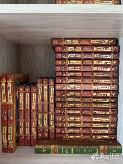 Коты воители