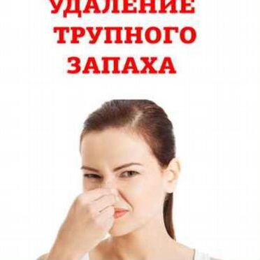 Устранение запахов / озонирование