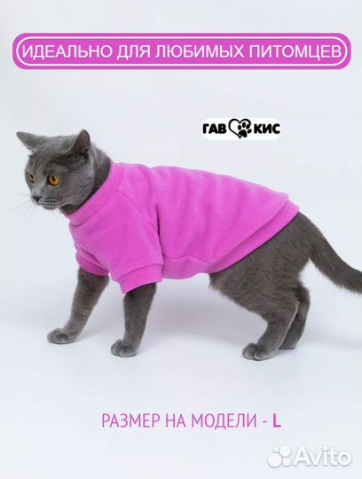 Одежда для собаки или кошки