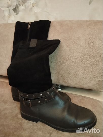 Сапоги демисезонные