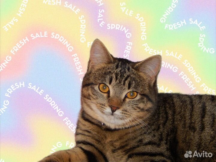 Услуги фотографа для маркетплейса