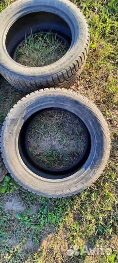Nokian Tyres Nordman 5 195/55 R16