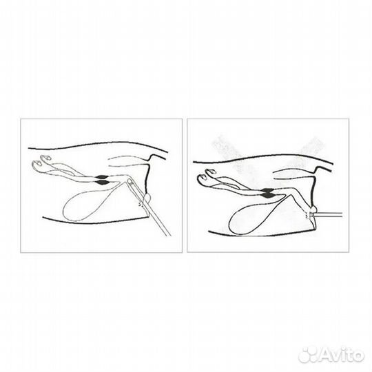 Детектор овуляции у собак