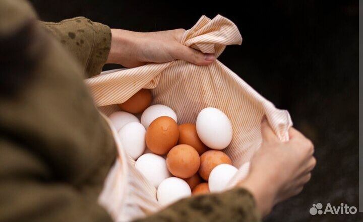Продам яйца домашние куриные и перепелиные