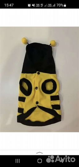 Одежда для собачки
