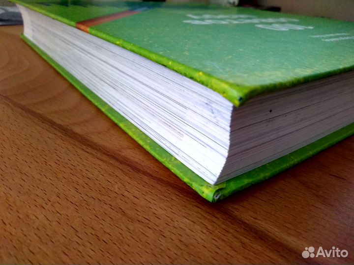 100 советов мэру