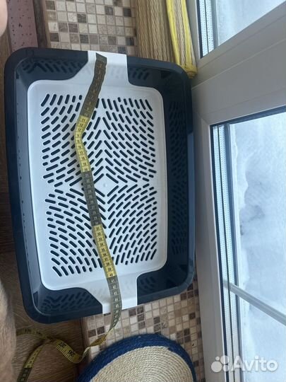 Лоток до котенка