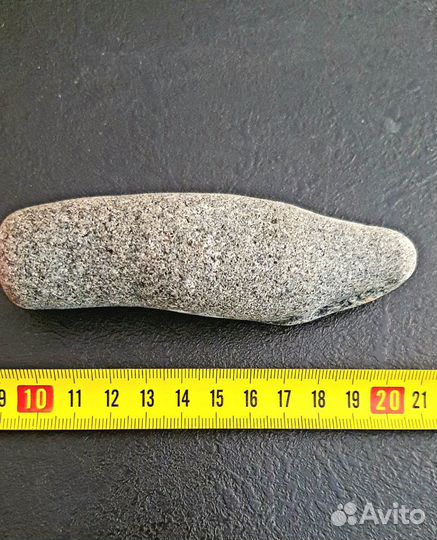 Голова окаменевшей рептилии Миллион лет назад