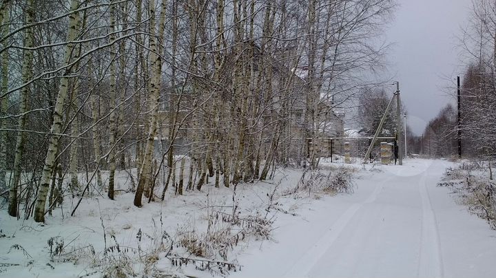 Участок 10 сот. (ИЖС)