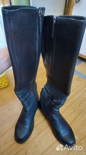 Сапоги женские осень Mascotte натуральная кожа