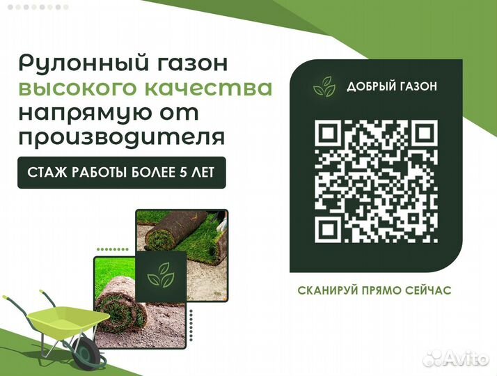 Рулонный газон с укладкой