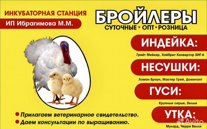 Инкубаторная станция