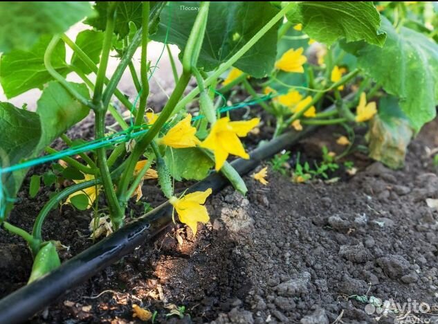 Фильтр дисковый d1 дюйм для капельного полива