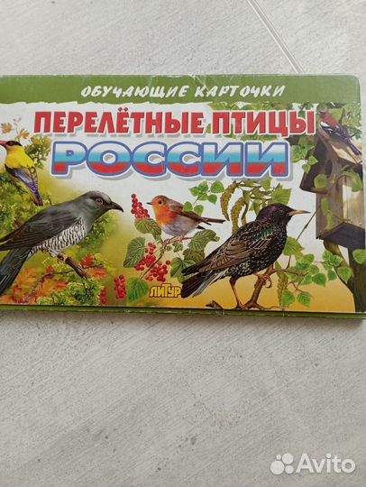 Обучающие карточки для детей