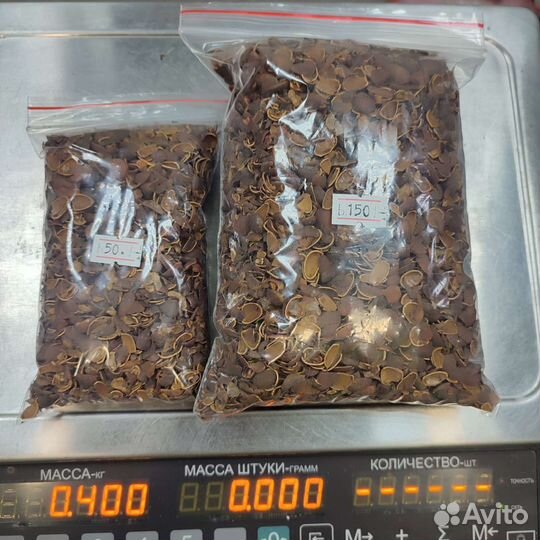 Скорлупа кедрового ореха