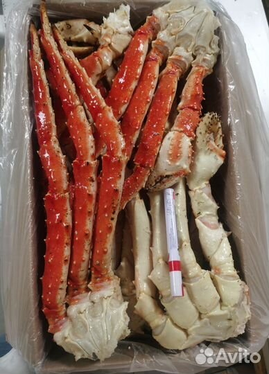 Конечности Камчатского Краба Супер Крупные L4