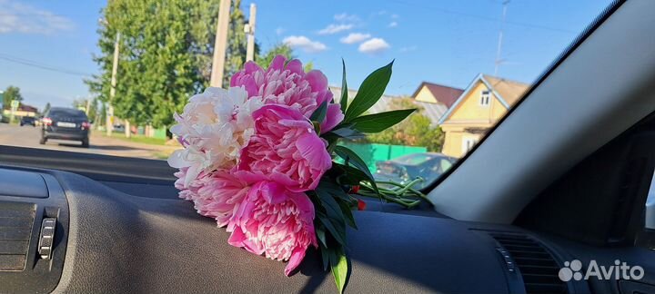 Пионы букет