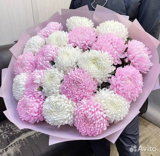 Хризантема