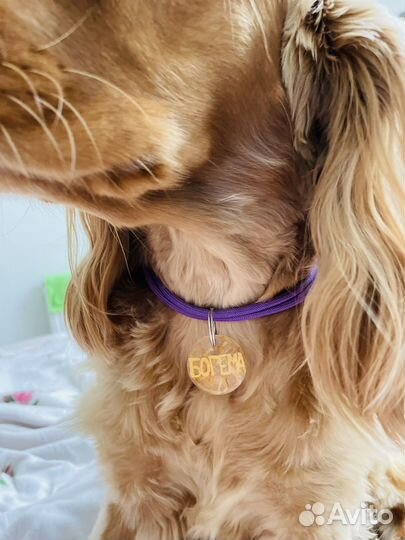 Шнурок для адресника