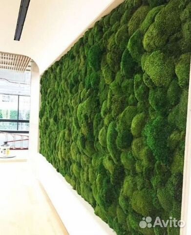 Панно из мха мох стабилизированный кочки