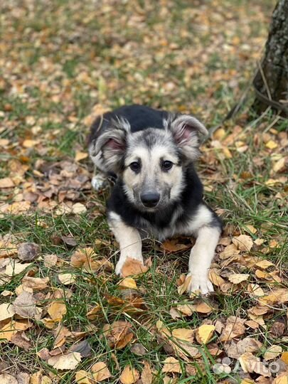 С детства в приюте