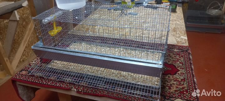 Клетка для 15 перепелов