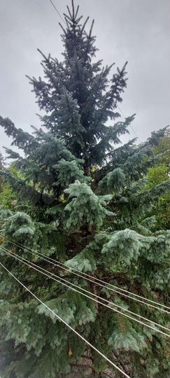 2-к. квартира, 69 м², 3/5 эт.