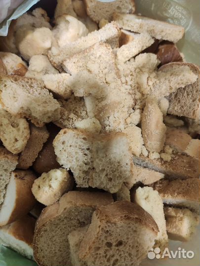 Сухари для животных