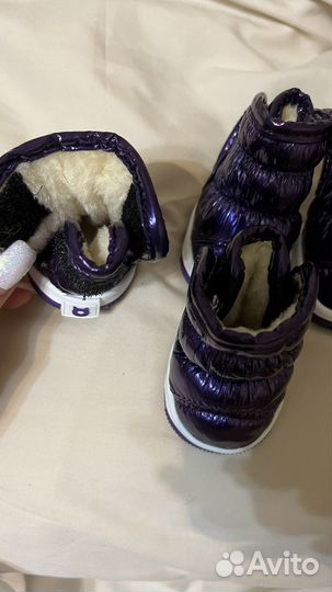 Сапоги для собак