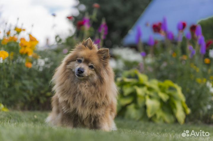Аэросъемка, видеовизитки, видеосъёмка, монтаж