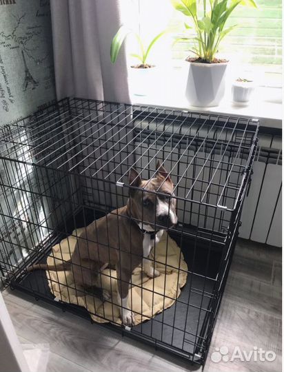 Клетка для собак и кошек металлические